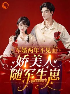 (无弹窗)小说军婚两年不见面，娇美人随军生崽 作者喵喵爱喝咖啡