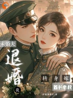 主角宋依依岑樾的小说