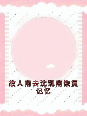 沈观南孟念一 第4章